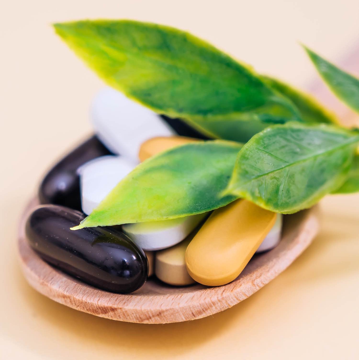 Micronutrition, Pharmacie de la Palle, Saint-Étienne